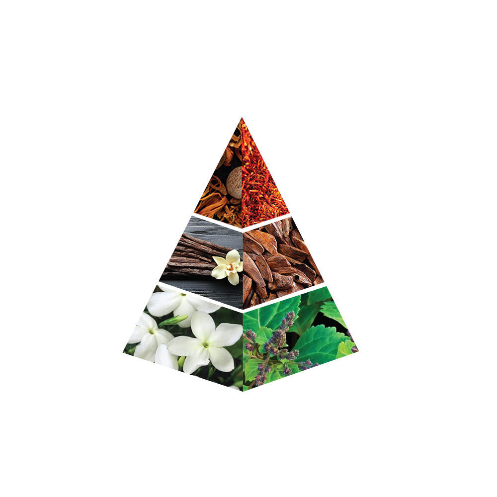 FLAME notes bottom image