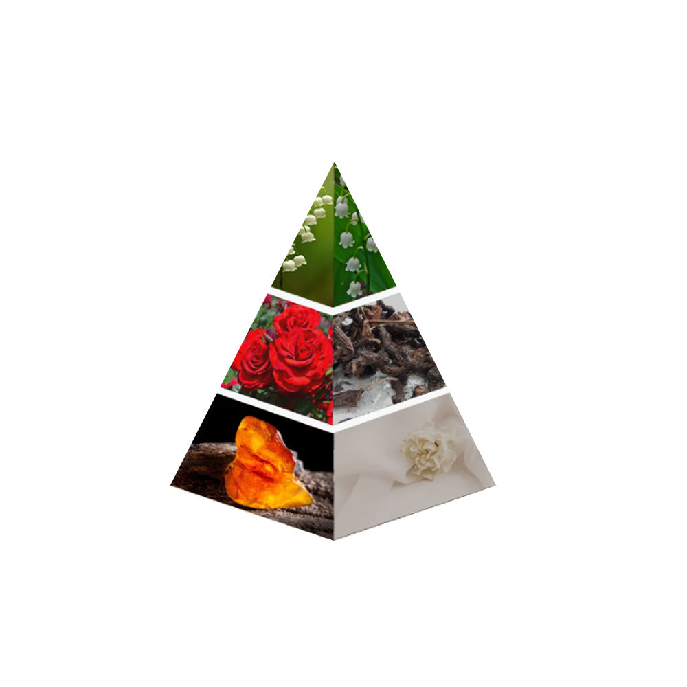 MUSK TAHARA notes bottom image