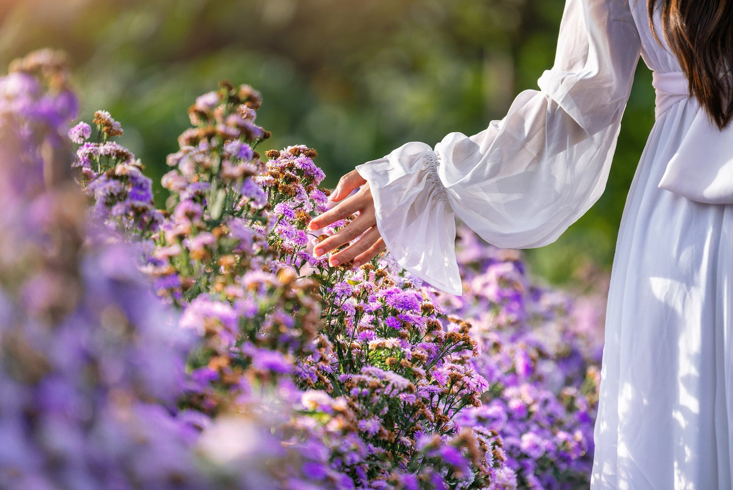 PARADISE ESCAPE fragrance image 3