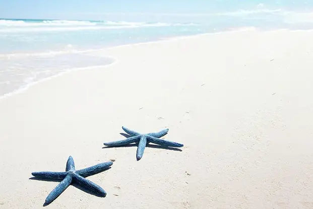 TWIN PARADISE fragrance image 2