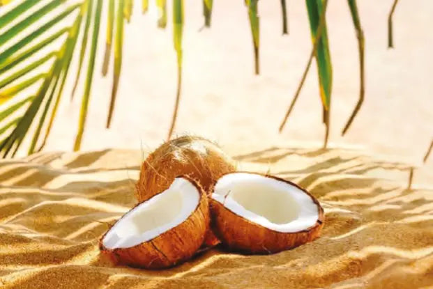 TWIN PARADISE fragrance image 3
