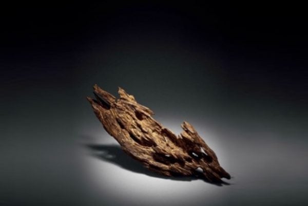 OUD fragrance image 2