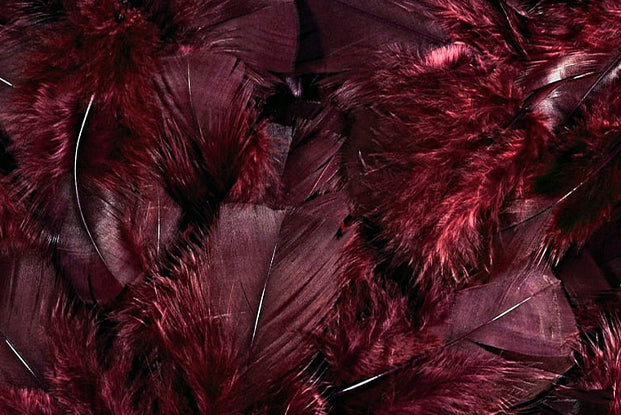 HYPNOTIC PASSION fragrance image 3