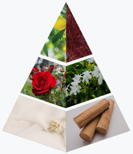 AURA notes bottom image